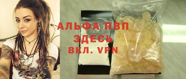 стаф Осинники