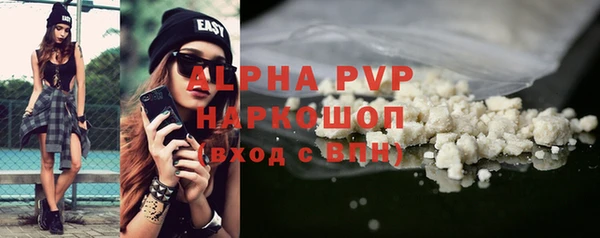 стаф Осинники