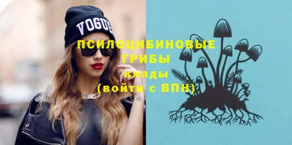 стаф Осинники