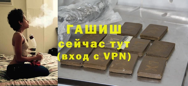 стаф Осинники