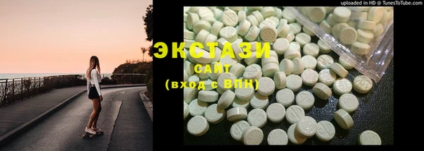 стаф Осинники