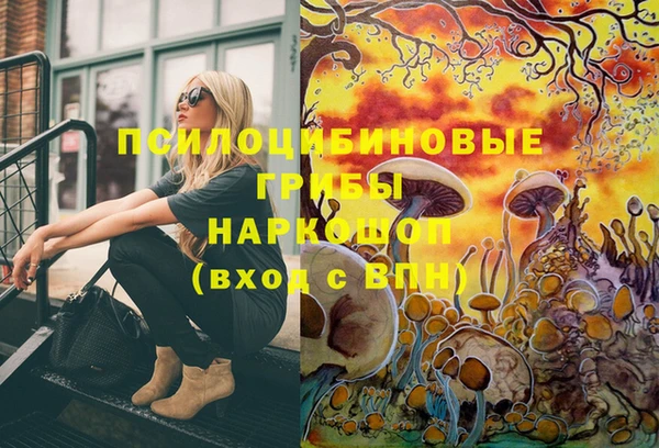 стаф Осинники