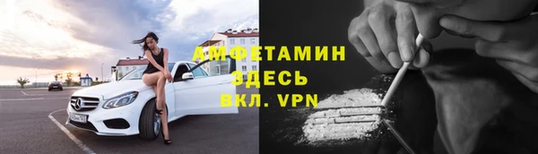 стаф Осинники