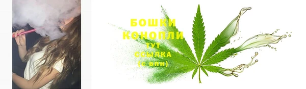 2c-b Осташков
