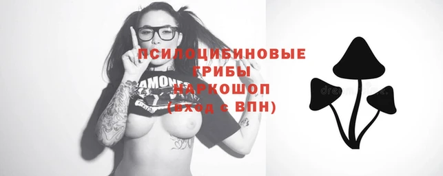 стаф Осинники