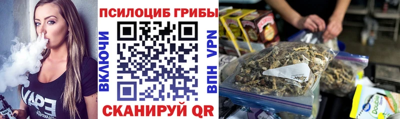 Купить  Тимашёвск  Галлюциногенные грибы Psilocybine cubensis 