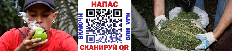 Купить где  Тимашёвск  Канабис VHQ 
